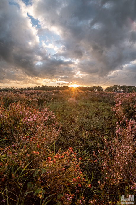 Zonsondergang op de hei