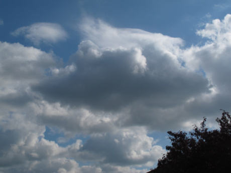 Cumulus mediocris pileus (Cl2)