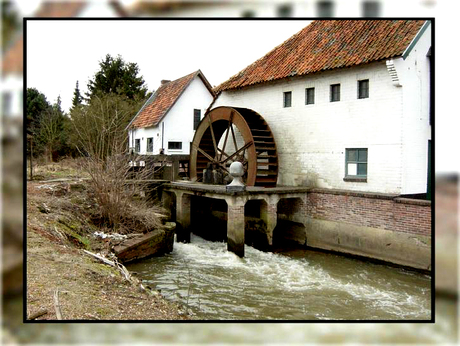 Groenmolen - Alken (Belgie)