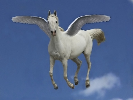 Pegasus