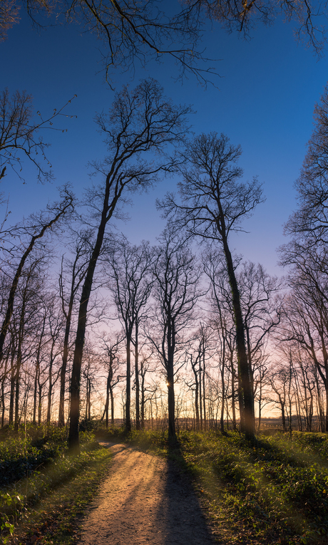 Zonsondergang in Slochterbos