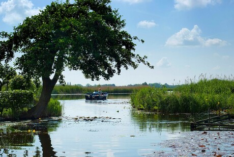 De Nieuwkoopse plassen op