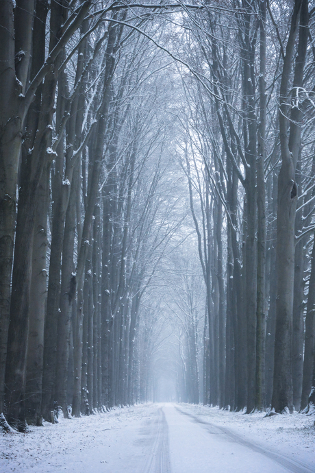 Winter in Doetinchem