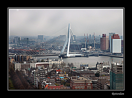 Rotterdam