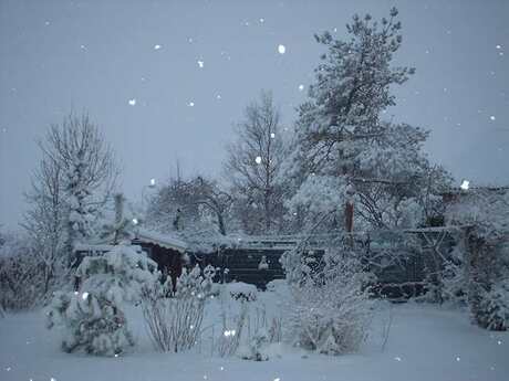 Sneeuw in de tuin