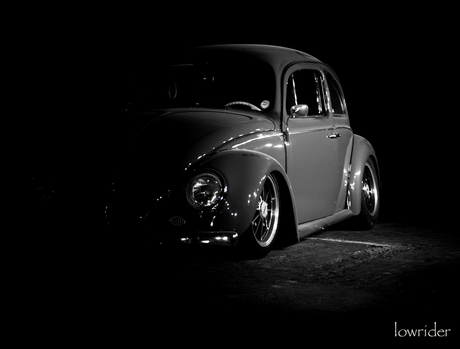 vw by night