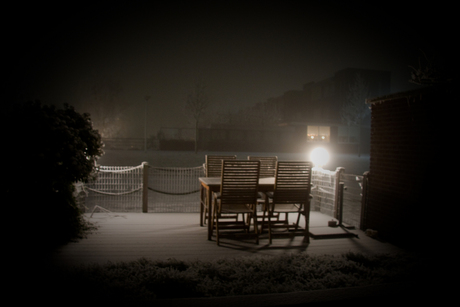 Garden by night