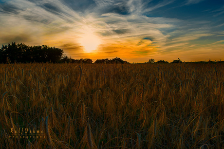 evening atmosphere