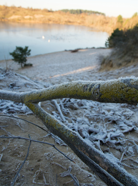 Oosterplas, Kennemer duinen