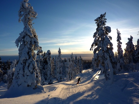 boarding in paradise