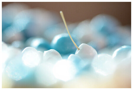 muizenbokeh - - - foto door Annika_zoom op 21-02-2010 - deze foto bevat: bokeh