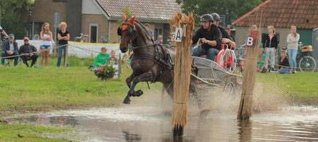 Actie!