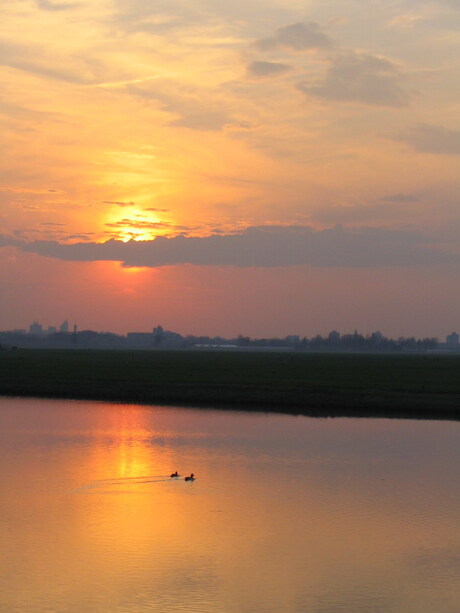 Zonsondergang met eenden