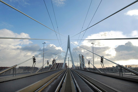 Erasmusbrug Rotterdam.jpg