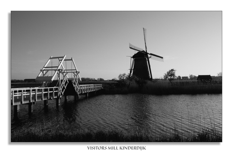 VISITORS MILL KINDERDIJK