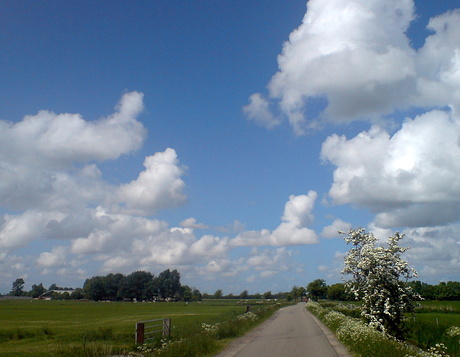 Westerdijkshorn (polder)