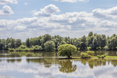Millingerwaard, juli 2015
