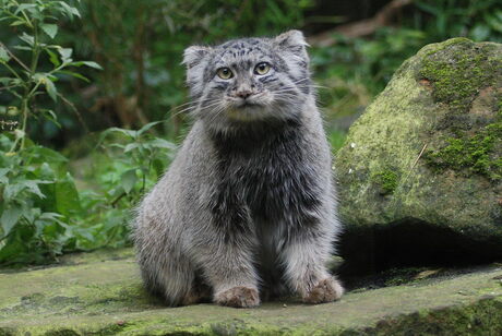 Rotterdam Zoo