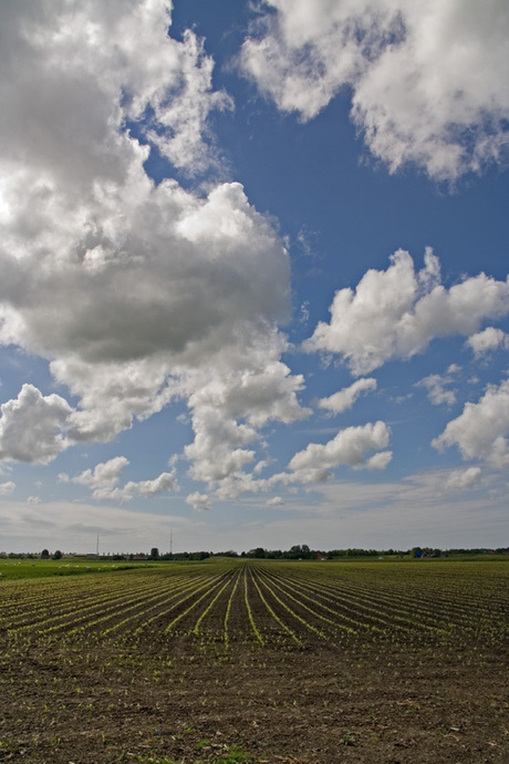 Akkerland nabij De Rijp