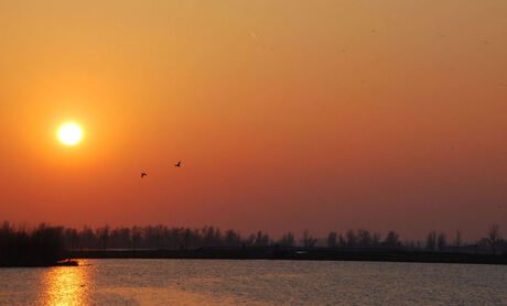 De eerste lente zon