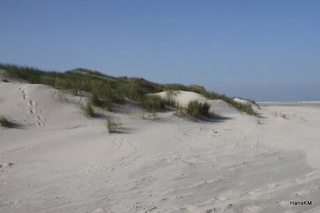 Strand met stuifduin