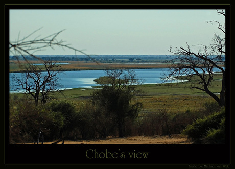 Chobe's view
