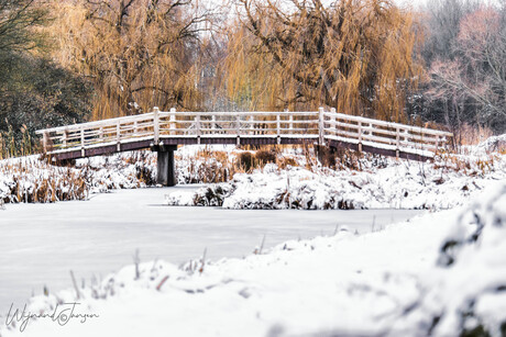 No bridge too far in the park