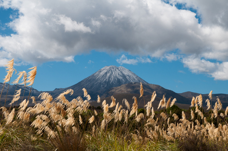 Mount Ngauruhoe