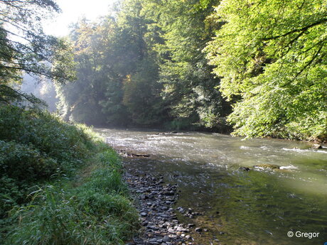 De Ourthe in de ochtend