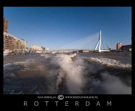 Rotterdam maas