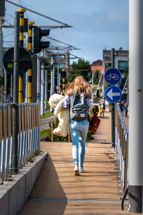 Teddybear walking