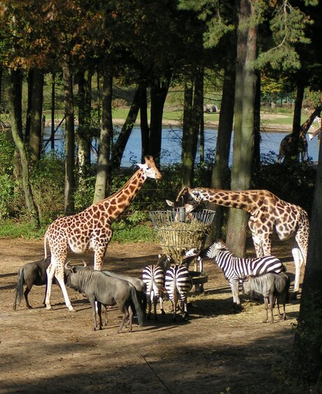 Samen uit eten