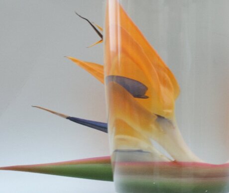 Flowers behind a vase