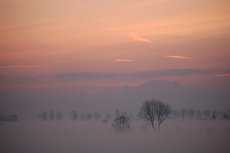 Mistig landschap