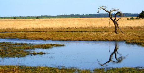 Hoge Veluwe wedstrijd landschapsfotografie