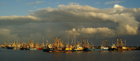 Haven Panorama