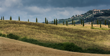 Volterra