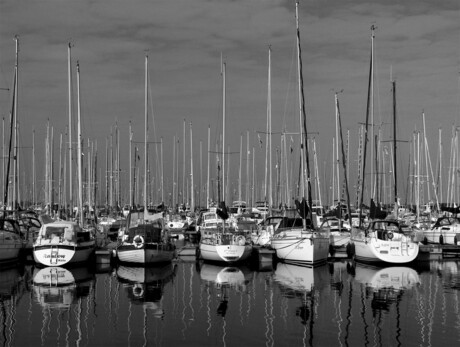 Harbor black&white