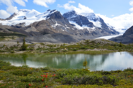 Canada in Summer