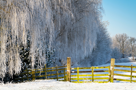 Winter op z'n best!