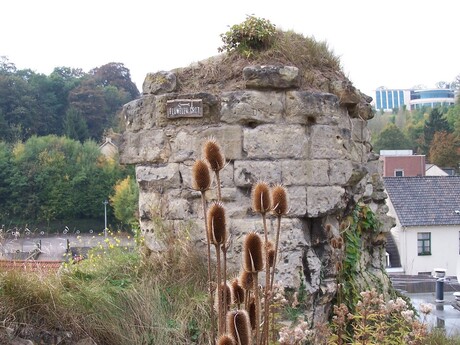 Ruine Valkenburg