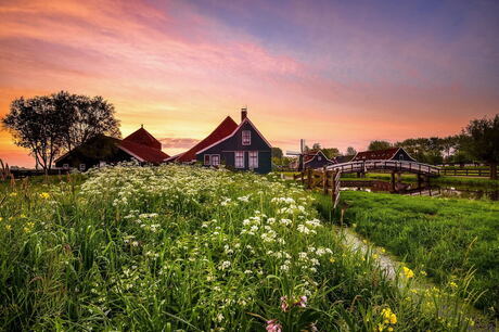 Kaasboerderij Zaanse Schans