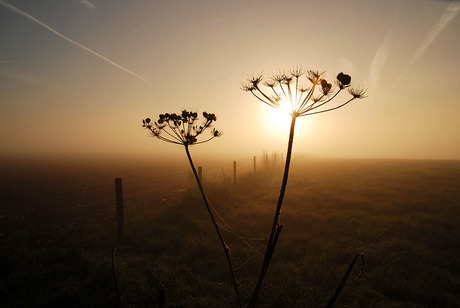 Zonsopkomst