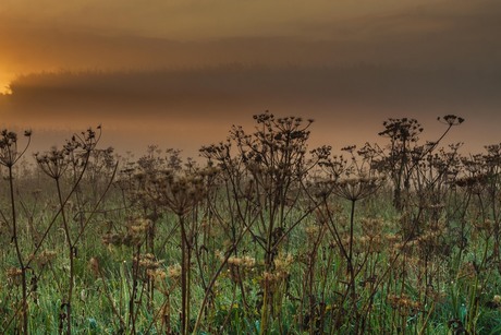 Warm licht op een koele ochtend