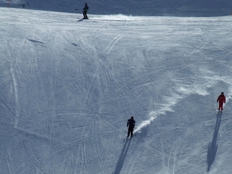 skiers