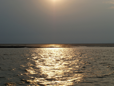 De schoonheid van het Wad 1