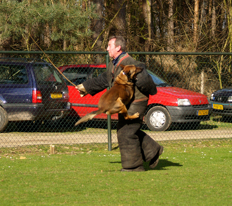 politiehond in aktie