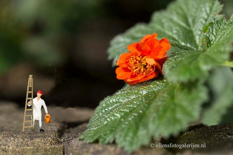 De zomerschilder in de tuin