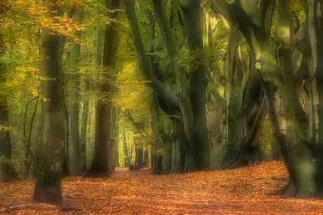 Clingendael in herfstkleuren