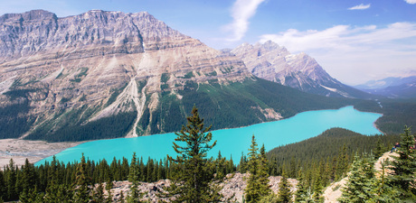 Peyto lake